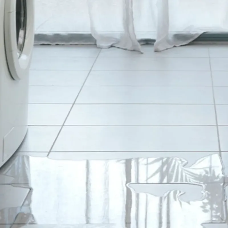 Appliance Leak Cleanup in Nevada County, AR