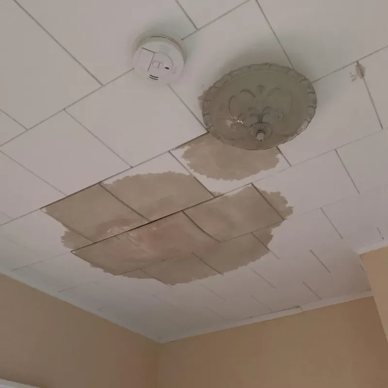 Ceiling Water Damage Repair in Nevada County, AR
