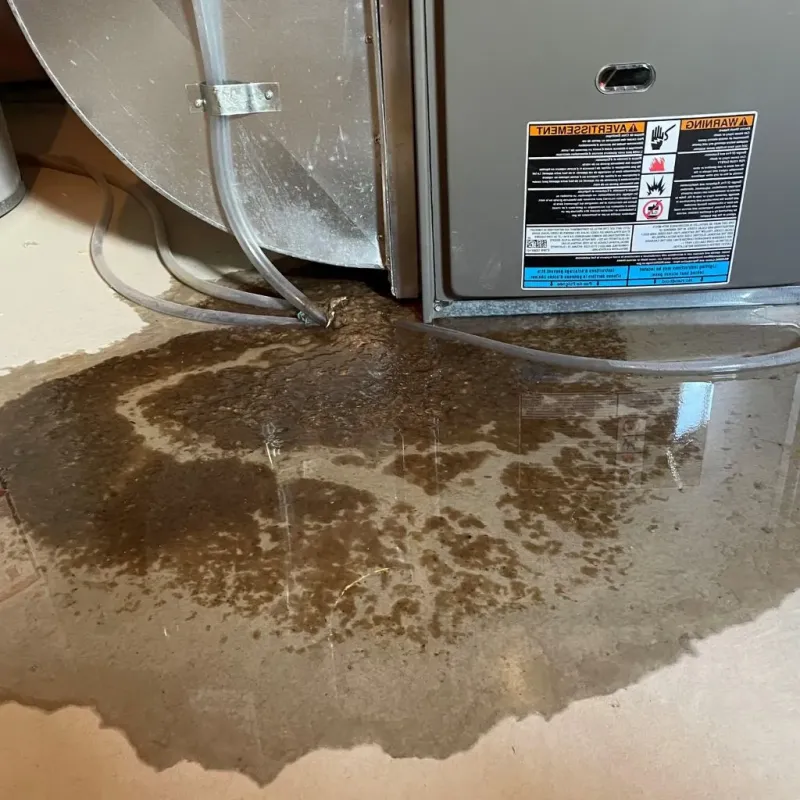 Pipe Burst and Leak Restoration in Nevada County, AR