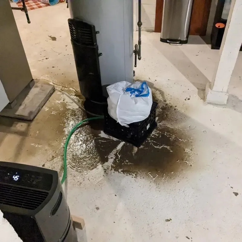 Sewage Backup Cleanup Service in Nevada County, AR